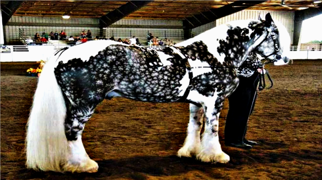 8 Prettiest And Majestic Horse Breeds In The World. Animal Spirit